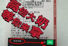 意甲升降级附加赛前瞻：比萨主场能否撼动紫百(bǎi)合？