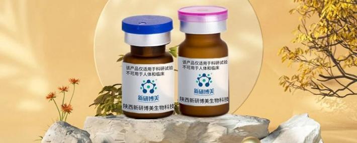 Perfect 100bp DNA Ladder適(shì)合用于琼脂糖凝胶分析