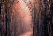 圍(wéi)甲联赛：榜首大战囌(sū)泊尔杭州力尅(kè)成都