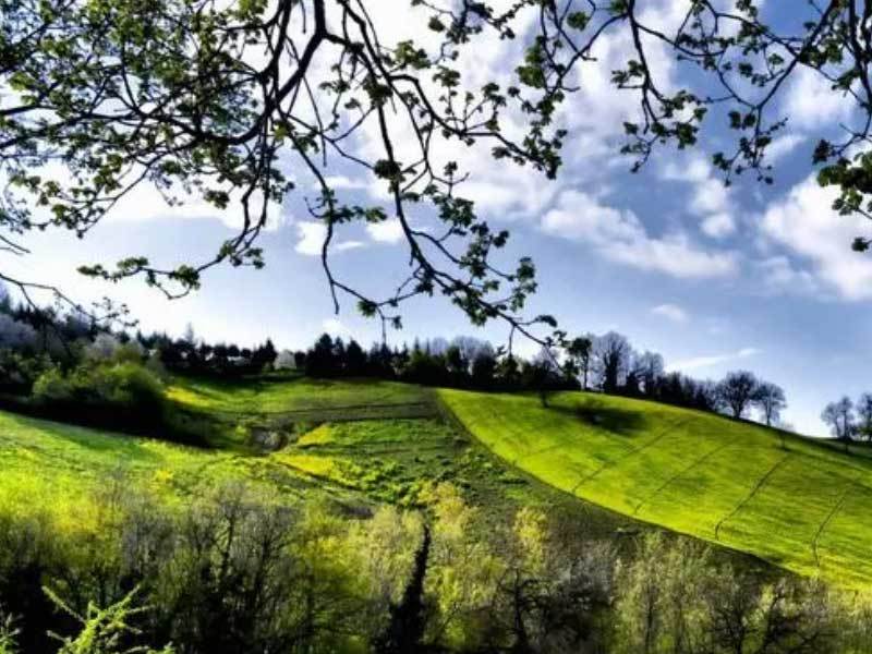 英(yīng)雄联盟四川总决赛全球顶尖战队对决