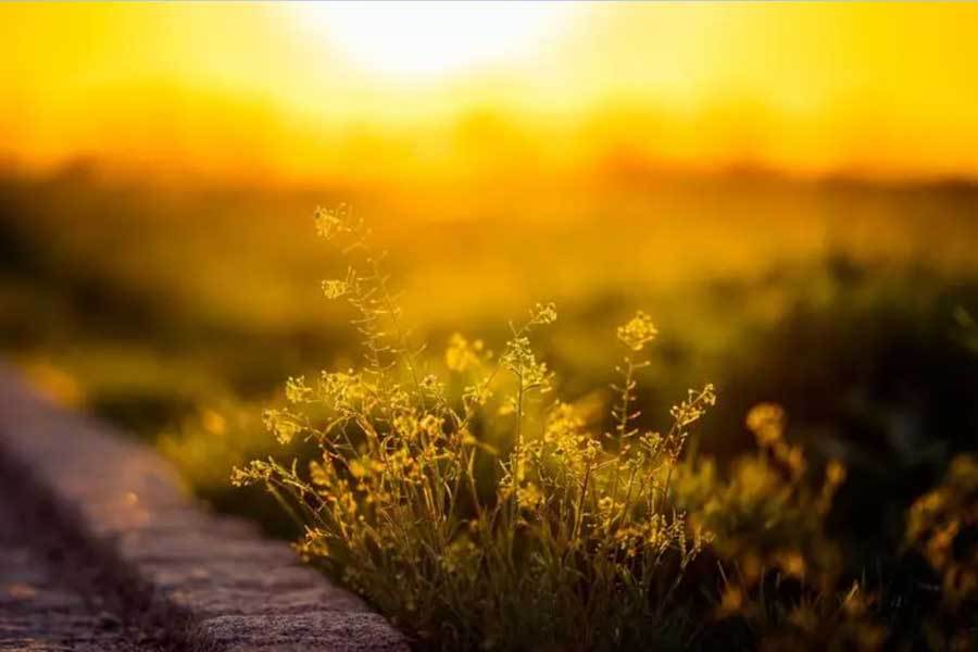 英(yīng)雄联盟四川总决赛全球顶尖战队对决