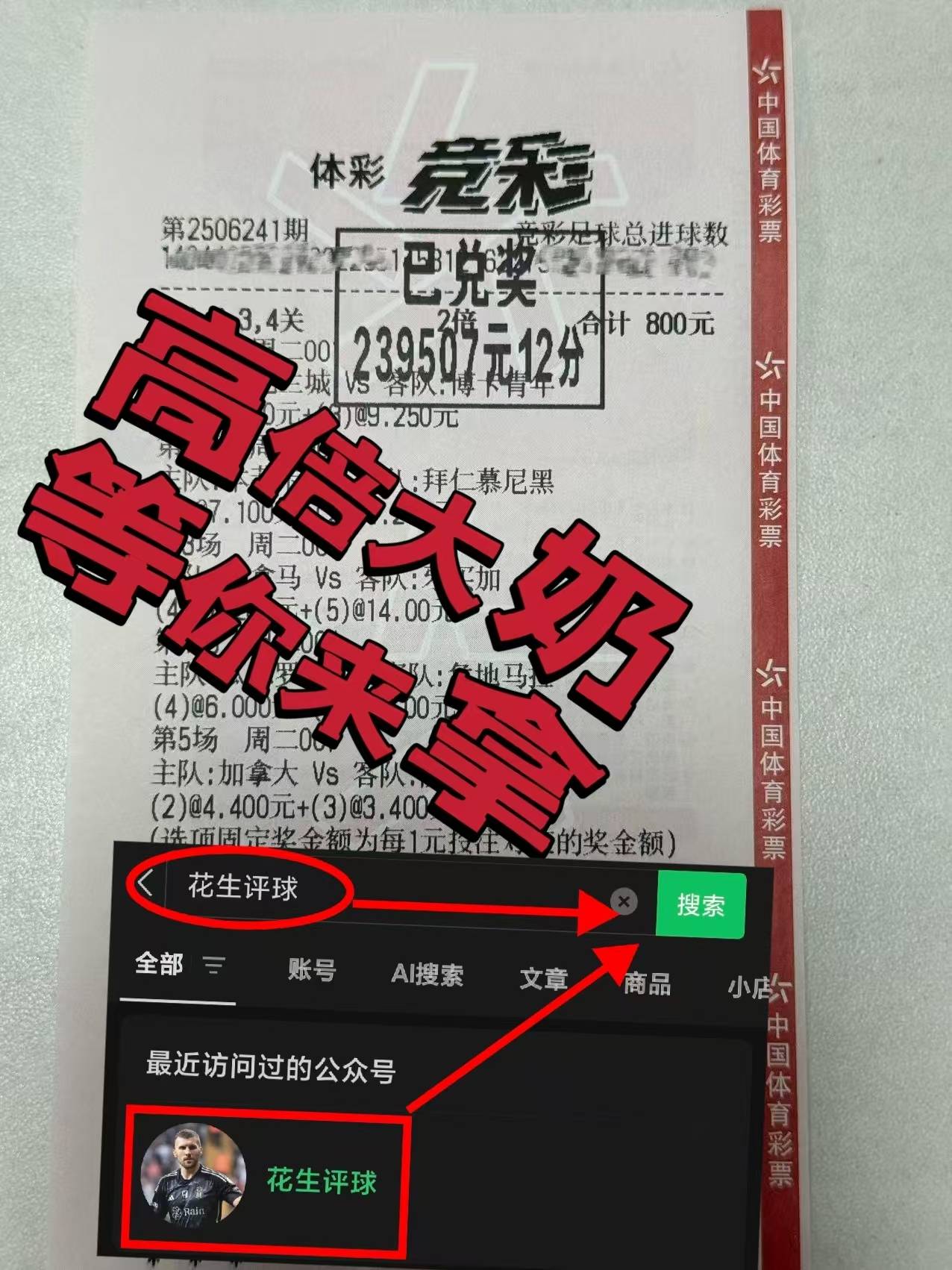 意甲升降级附加赛前瞻：比萨主场能否撼动紫百(bǎi)合？